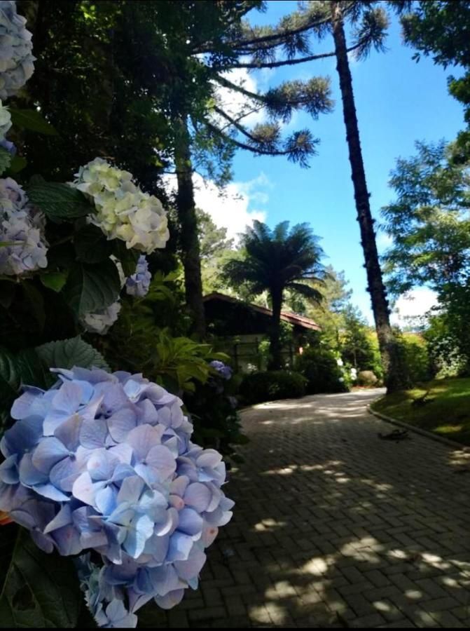 Casa Goldoni Gramado Villa ภายนอก รูปภาพ